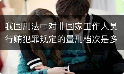 我国刑法中对非国家工作人员行贿犯罪规定的量刑档次是多少