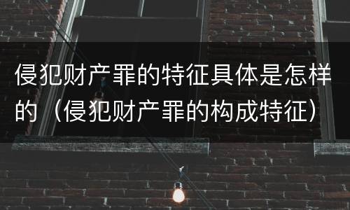 侵犯财产罪的特征具体是怎样的（侵犯财产罪的构成特征）