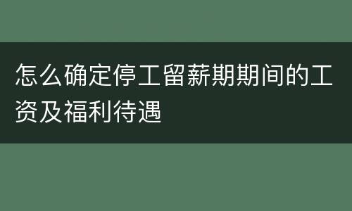 怎么确定停工留薪期期间的工资及福利待遇