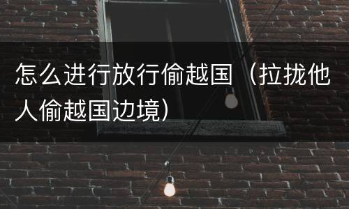 怎么进行放行偷越国（拉拢他人偷越国边境）
