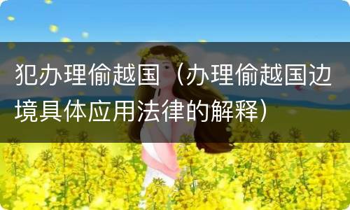 犯办理偷越国（办理偷越国边境具体应用法律的解释）