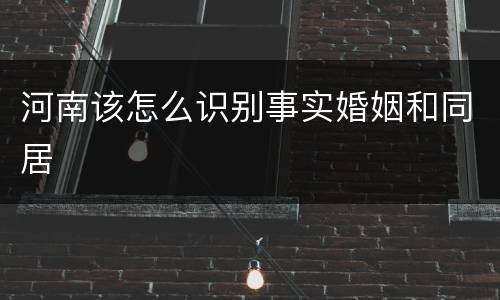 河南该怎么识别事实婚姻和同居