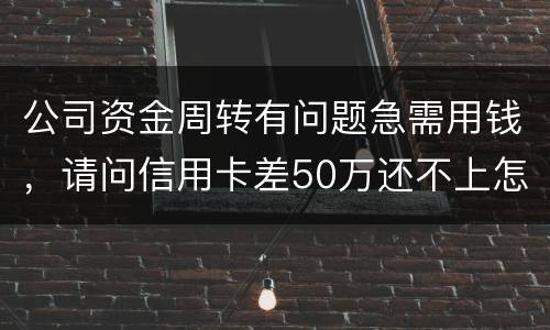 公司资金周转有问题急需用钱，请问信用卡差50万还不上怎么办