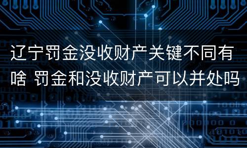 辽宁罚金没收财产关键不同有啥 罚金和没收财产可以并处吗