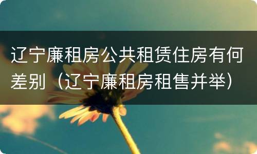 辽宁廉租房公共租赁住房有何差别（辽宁廉租房租售并举）