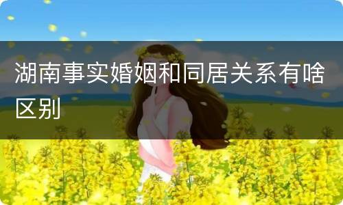 湖南事实婚姻和同居关系有啥区别