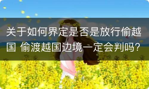 关于如何界定是否是放行偷越国 偷渡越国边境一定会判吗?