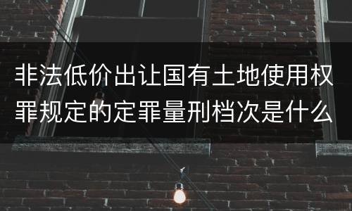 非法低价出让国有土地使用权罪规定的定罪量刑档次是什么