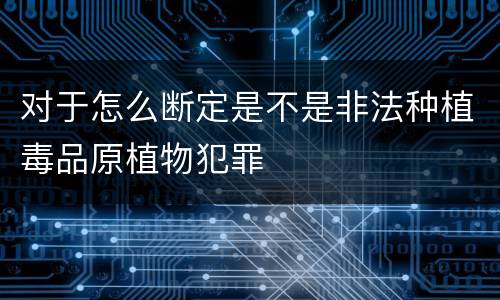 对于怎么断定是不是非法种植毒品原植物犯罪
