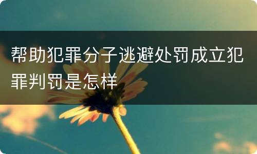 帮助犯罪分子逃避处罚成立犯罪判罚是怎样