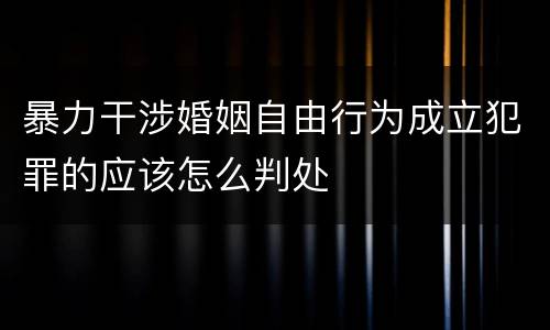 暴力干涉婚姻自由行为成立犯罪的应该怎么判处