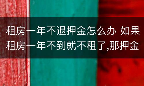 租房一年不退押金怎么办 如果租房一年不到就不租了,那押金有退的吗