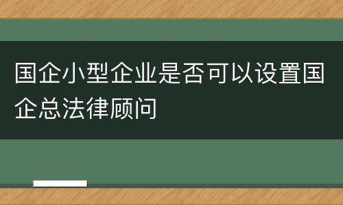 国企小型企业是否可以设置国企总法律顾问