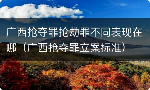 广西抢夺罪抢劫罪不同表现在哪（广西抢夺罪立案标准）