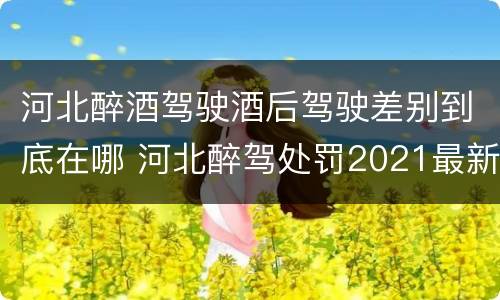河北醉酒驾驶酒后驾驶差别到底在哪 河北醉驾处罚2021最新标准