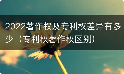 2022著作权及专利权差异有多少（专利权著作权区别）