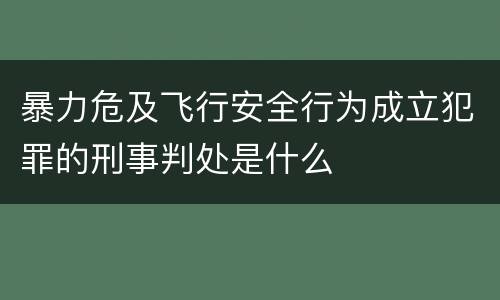 暴力危及飞行安全行为成立犯罪的刑事判处是什么