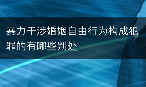 暴力干涉婚姻自由行为构成犯罪的有哪些判处