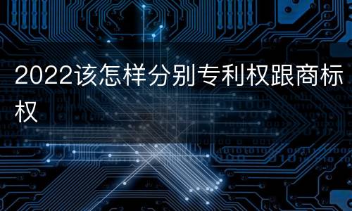2022该怎样分别专利权跟商标权