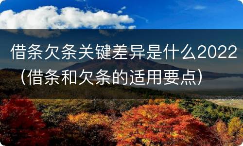 借条欠条关键差异是什么2022（借条和欠条的适用要点）