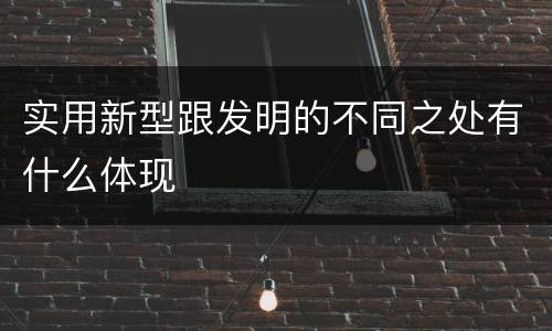 实用新型跟发明的不同之处有什么体现