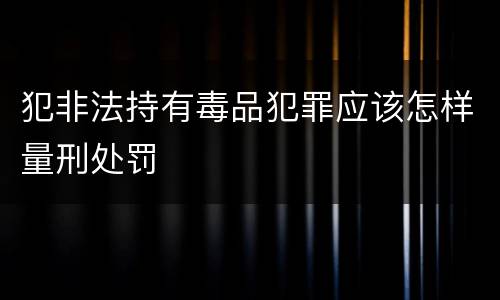 犯非法持有毒品犯罪应该怎样量刑处罚