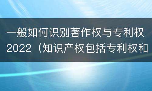 一般如何识别著作权与专利权2022（知识产权包括专利权和著作权吗）