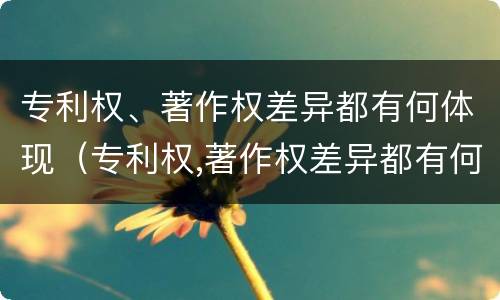 专利权、著作权差异都有何体现（专利权,著作权差异都有何体现呢）