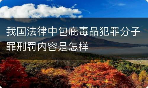 我国法律中包庇毒品犯罪分子罪刑罚内容是怎样