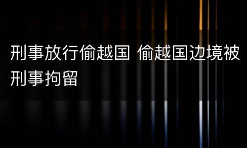 刑事放行偷越国 偷越国边境被刑事拘留