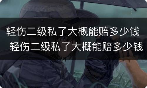 轻伤二级私了大概能赔多少钱 轻伤二级私了大概能赔多少钱一天
