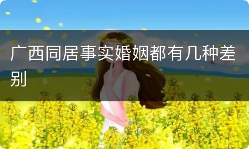 广西同居事实婚姻都有几种差别