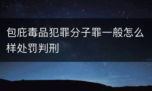 包庇毒品犯罪分子罪一般怎么样处罚判刑