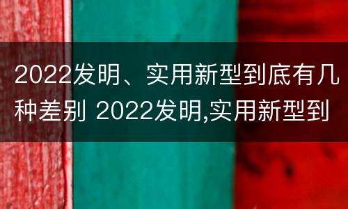 2022发明、实用新型到底有几种差别 2022发明,实用新型到底有几种差别呢