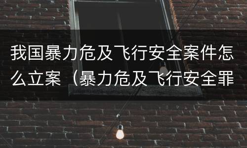 我国暴力危及飞行安全案件怎么立案（暴力危及飞行安全罪案例）