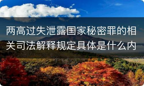 两高过失泄露国家秘密罪的相关司法解释规定具体是什么内容