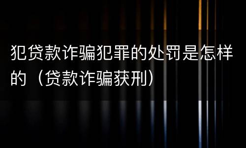 犯贷款诈骗犯罪的处罚是怎样的（贷款诈骗获刑）