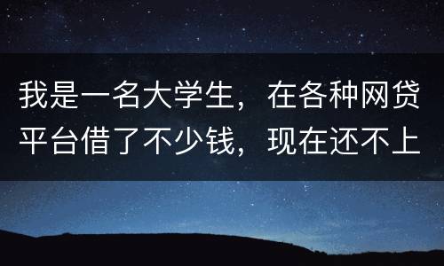 我是一名大学生，在各种网贷平台借了不少钱，现在还不上，如果不还会怎么样