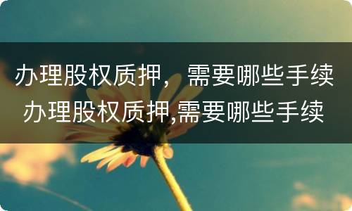 办理股权质押，需要哪些手续 办理股权质押,需要哪些手续和证件