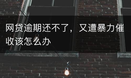 网贷逾期还不了，又遭暴力催收该怎么办