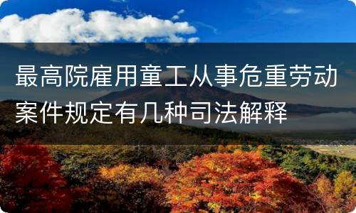 最高院雇用童工从事危重劳动案件规定有几种司法解释
