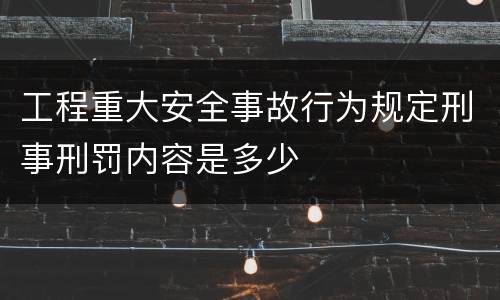 工程重大安全事故行为规定刑事刑罚内容是多少
