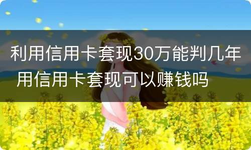 利用信用卡套现30万能判几年 用信用卡套现可以赚钱吗