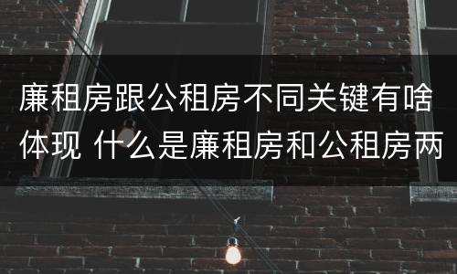 廉租房跟公租房不同关键有啥体现 什么是廉租房和公租房两个有什么特点