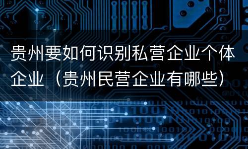贵州要如何识别私营企业个体企业（贵州民营企业有哪些）