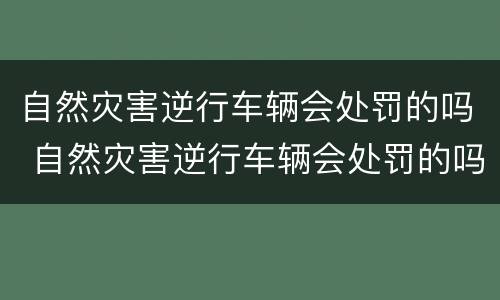 自然灾害逆行车辆会处罚的吗 自然灾害逆行车辆会处罚的吗知乎