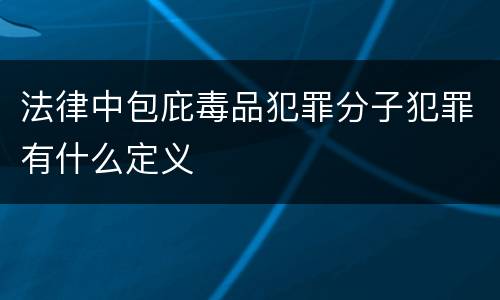 法律中包庇毒品犯罪分子犯罪有什么定义