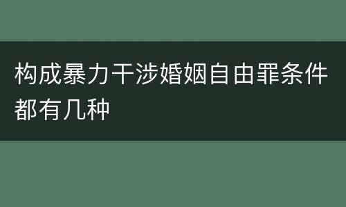 构成暴力干涉婚姻自由罪条件都有几种