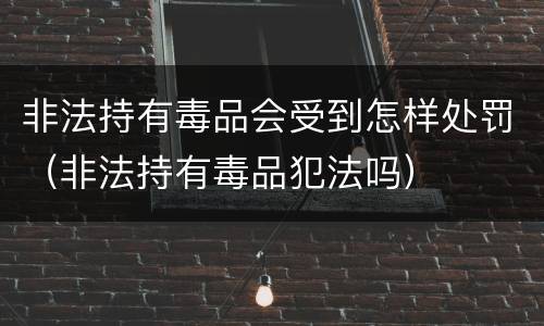 非法持有毒品会受到怎样处罚（非法持有毒品犯法吗）