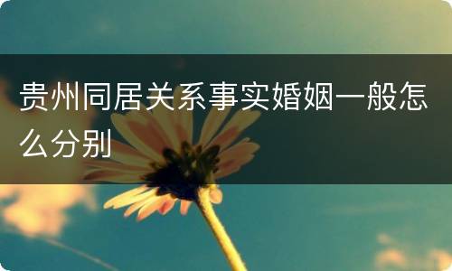 贵州同居关系事实婚姻一般怎么分别